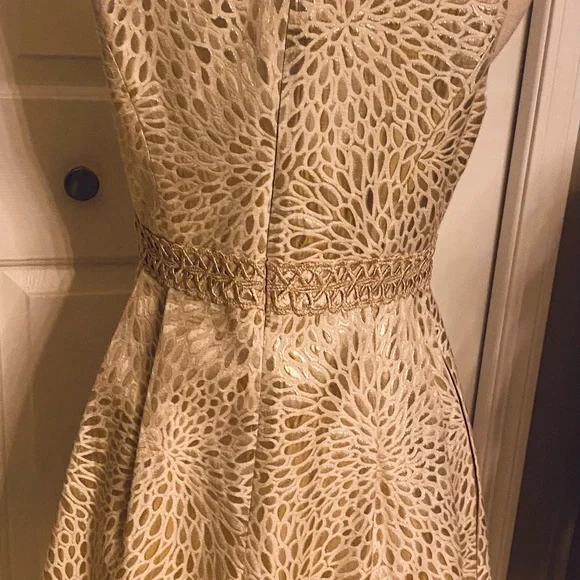 Lilly Pulitzer gorgeous sophisticated Cream Lace Fit-and-Flare Dress size 4 - Picture 5 of 8